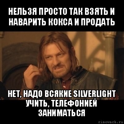 нельзя просто так взять и наварить кокса и продать нет, надо всякие silverlight учить, телефонией заниматься, Мем Нельзя просто взять