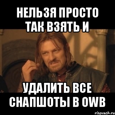 нельзя просто так взять и удалить все снапшоты в owb, Мем Нельзя просто взять