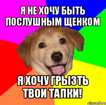 я не хочу быть послушным щенком я хочу грызть твои тапки!, Мем Advice Dog