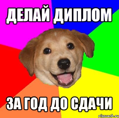 делай диплом за год до сдачи, Мем Advice Dog