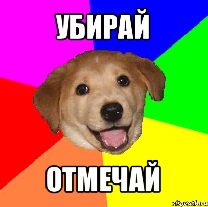 убирай отмечай, Мем Advice Dog