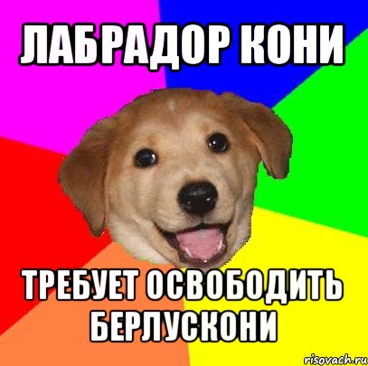 лабрадор кони требует освободить берлускони, Мем Advice Dog