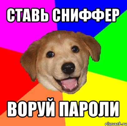 ставь сниффер воруй пароли, Мем Advice Dog