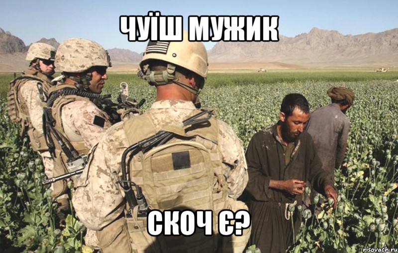 чуїш мужик скоч є?