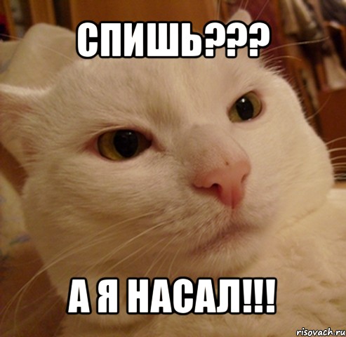 спишь??? а я насал!!!