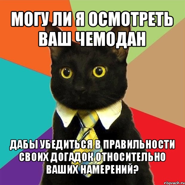 могу ли я осмотреть ваш чемодан дабы убедиться в правильности своих догадок относительно ваших намерений?, Мем  Кошечка