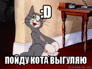 :d пойду кота выгуляю, Мем Наглый том