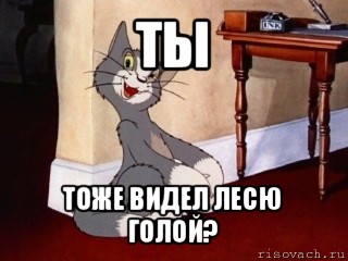 ты тоже видел лесю голой?, Мем Наглый том