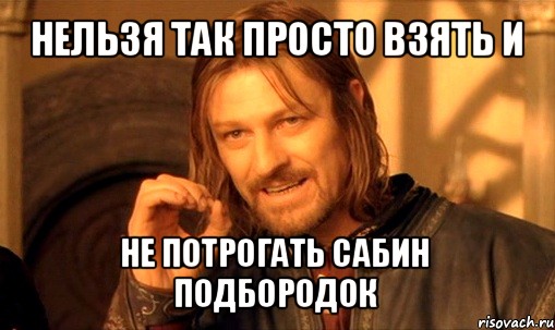 нельзя так просто взять и не потрогать сабин подбородок, Мем Нельзя просто так взять и (Боромир мем)