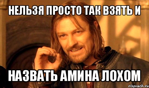 нельзя просто так взять и назвать амина лохом, Мем Нельзя просто так взять и (Боромир мем)