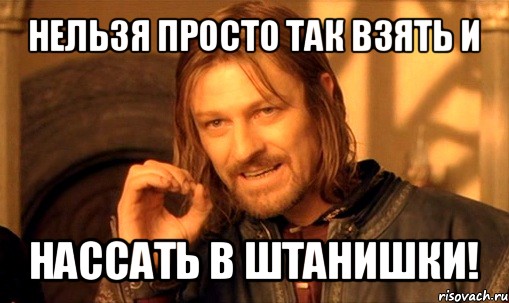 нельзя просто так взять и нассать в штанишки!, Мем Нельзя просто так взять и (Боромир мем)