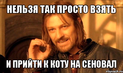 нельзя так просто взять и прийти к коту на сеновал, Мем Нельзя просто так взять и (Боромир мем)