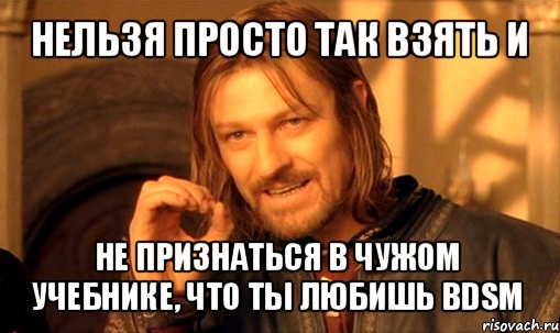 нельзя просто так взять и не признаться в чужом учебнике, что ты любишь bdsm, Мем Нельзя просто так взять и (Боромир мем)