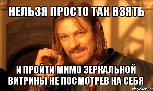 нельзя просто так взять и пройти мимо зеркальной витрины не посмотрев на себя, Мем Нельзя просто так взять и (Боромир мем)