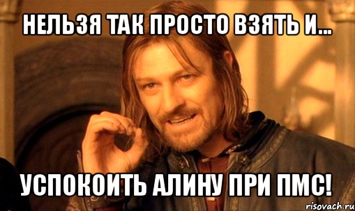 нельзя так просто взять и... успокоить алину при пмс!, Мем Нельзя просто так взять и (Боромир мем)