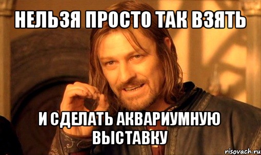 нельзя просто так взять и сделать аквариумную выставку, Мем Нельзя просто так взять и (Боромир мем)