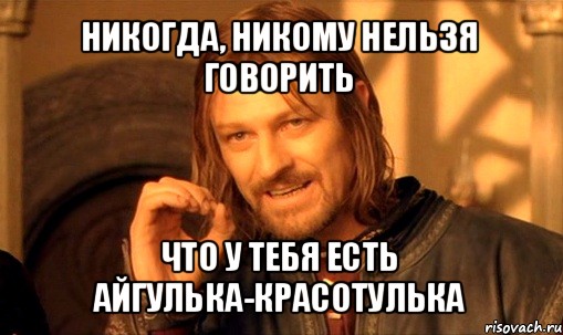 никогда, никому нельзя говорить что у тебя есть айгулька-красотулька, Мем Нельзя просто так взять и (Боромир мем)