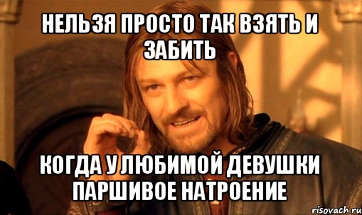 нельзя просто так взять и забить когда у любимой девушки паршивое натроение, Мем Нельзя просто так взять и (Боромир мем)