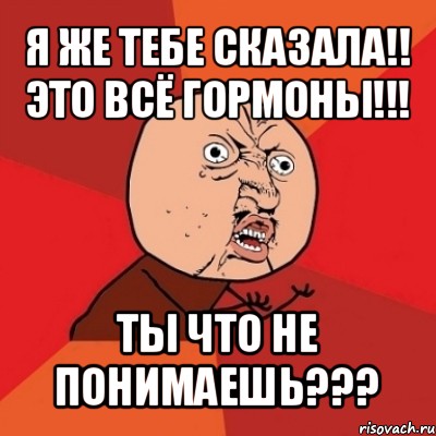 я же тебе сказала!! это всё гормоны!!! ты что не понимаешь???, Мем Почему