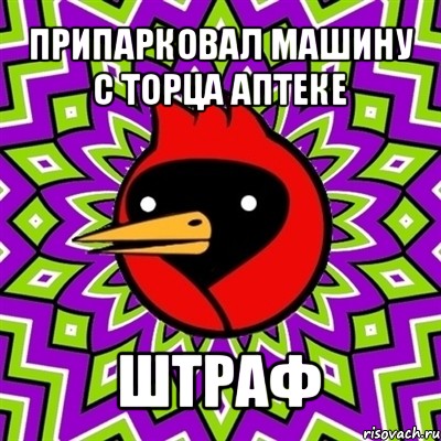 припарковал машину с торца аптеке штраф, Мем Омская птица