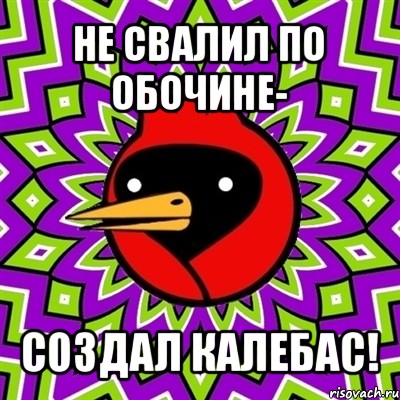 не свалил по обочине- создал калебас!, Мем Омская птица