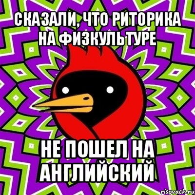 сказали, что риторика на физкультуре не пошел на английский, Мем Омская птица