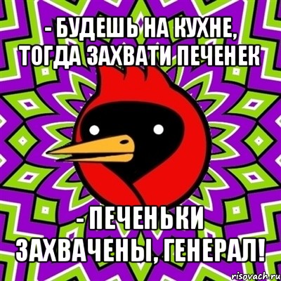 - будешь на кухне, тогда захвати печенек - печеньки захвачены, генерал!, Мем Омская птица