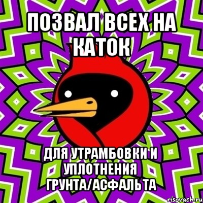 позвал всех на каток для утрамбовки и уплотнения грунта/асфальта, Мем Омская птица