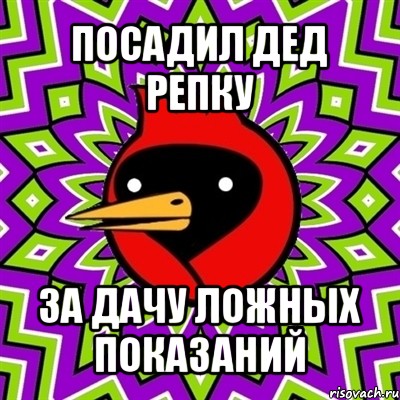 посадил дед репку за дачу ложных показаний, Мем Омская птица