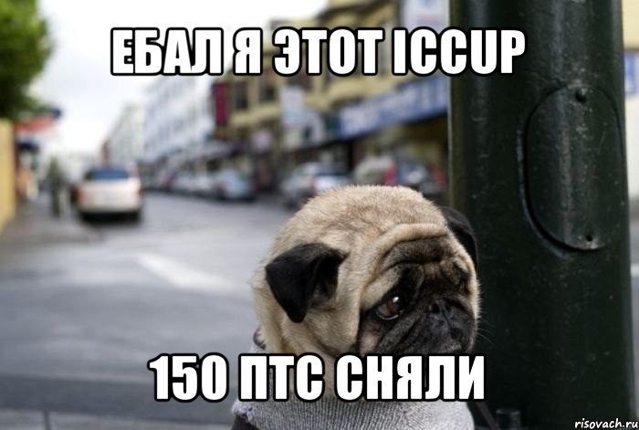 ебал я этот iccup 150 птс сняли