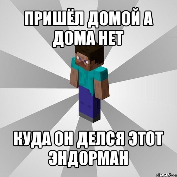 пришёл домой а дома нет куда он делся этот эндорман, Мем Типичный игрок Minecraft