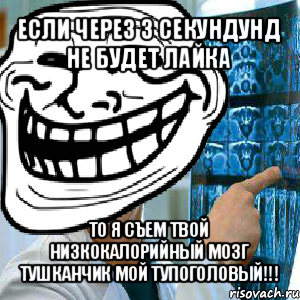 если через 3 секундунд не будет лайка то я съем твой низкокалорийный мозг
тушканчик мой тупоголовый!!!, Мем Трохлобыстин