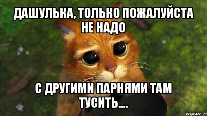 дашулька, только пожалуйста не надо с другими парнями там тусить...., Мем кот из шрека