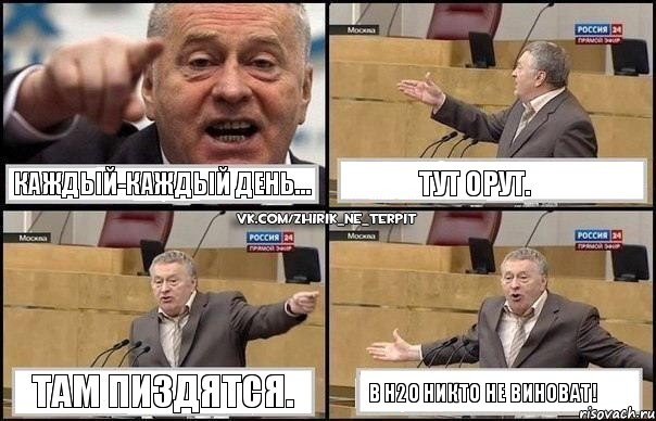 Каждый-каждый день... Тут орут. Там пиздятся. В Н2О никто не виноват!, Комикс Жириновский