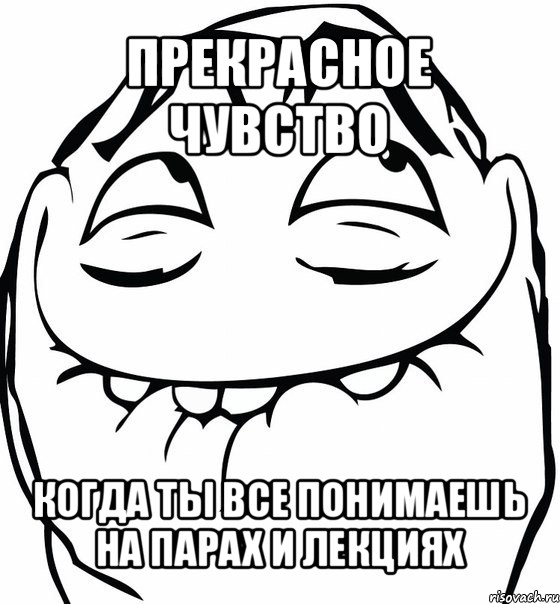 прекрасное чувство когда ты все понимаешь на парах и лекциях, Мем  аааа