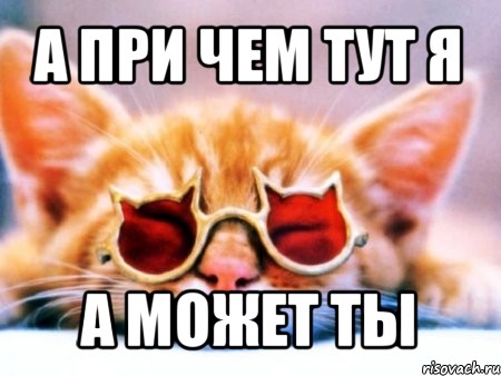 а при чем тут я а может ты