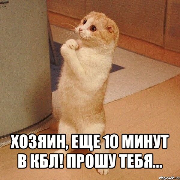  хозяин, еще 10 минут в кбл! прошу тебя...