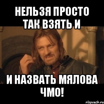 нельзя просто так взять и и назвать мялова чмо!, Мем Нельзя просто взять