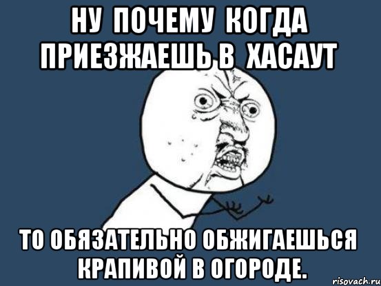 ну почему когда приезжаешь в хасаут то обязательно обжигаешься крапивой в огороде., Мем Ну почему