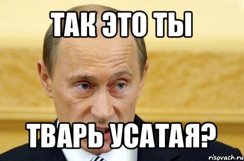 так это ты тварь усатая?, Мем путин