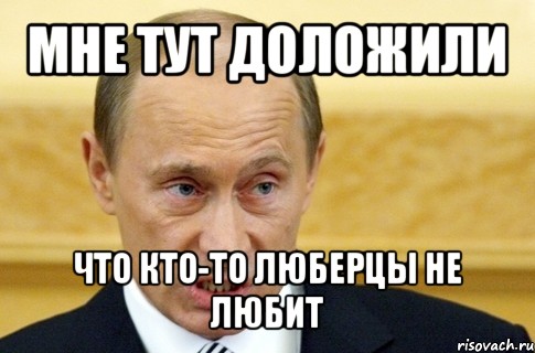 мне тут доложили что кто-то люберцы не любит, Мем путин