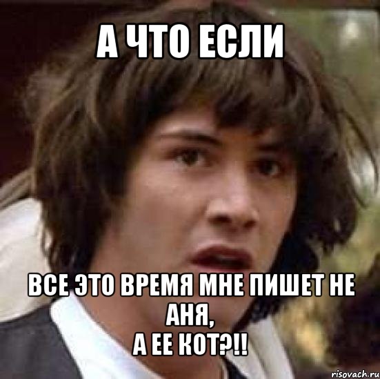 а что если все это время мне пишет не аня,
а ее кот?!!