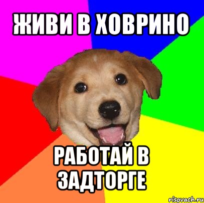 живи в ховрино работай в задторге, Мем Advice Dog