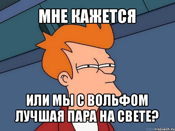 мне кажется или мы с вольфом лучшая пара на свете?, Мем  Фрай (мне кажется или)