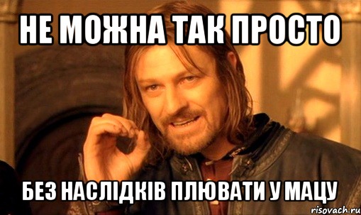 не можна так просто без наслідків плювати у мацу, Мем Нельзя просто так взять и (Боромир мем)