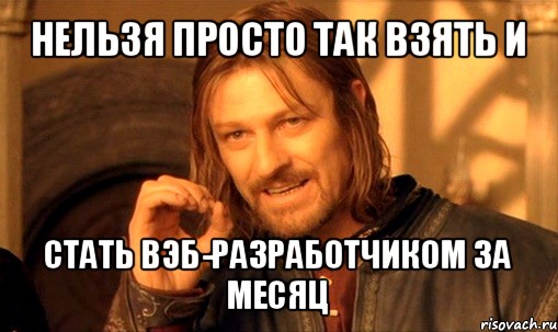 нельзя просто так взять и стать вэб-разработчиком за месяц, Мем Нельзя просто так взять и (Боромир мем)