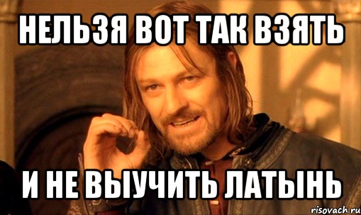 нельзя вот так взять и не выучить латынь, Мем Нельзя просто так взять и (Боромир мем)