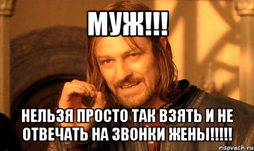 муж!!! нельзя просто так взять и не отвечать на звонки жены!!!, Мем Нельзя просто так взять и (Боромир мем)