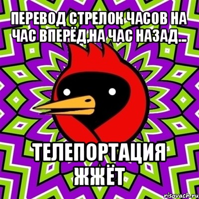 перевод стрелок часов на час вперёд,на час назад... телепортация жжёт, Мем Омская птица