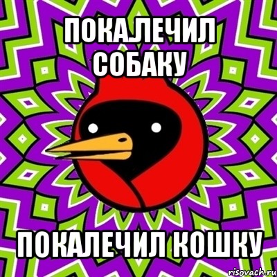 пока.лечил собаку покалечил кошку, Мем Омская птица